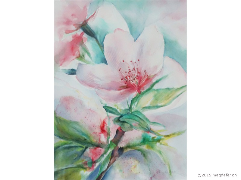 Printemps 2