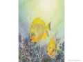 Poésie aquatique 3